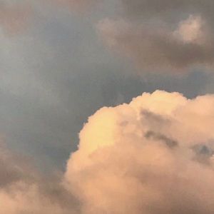 Meet your Posher, Katy